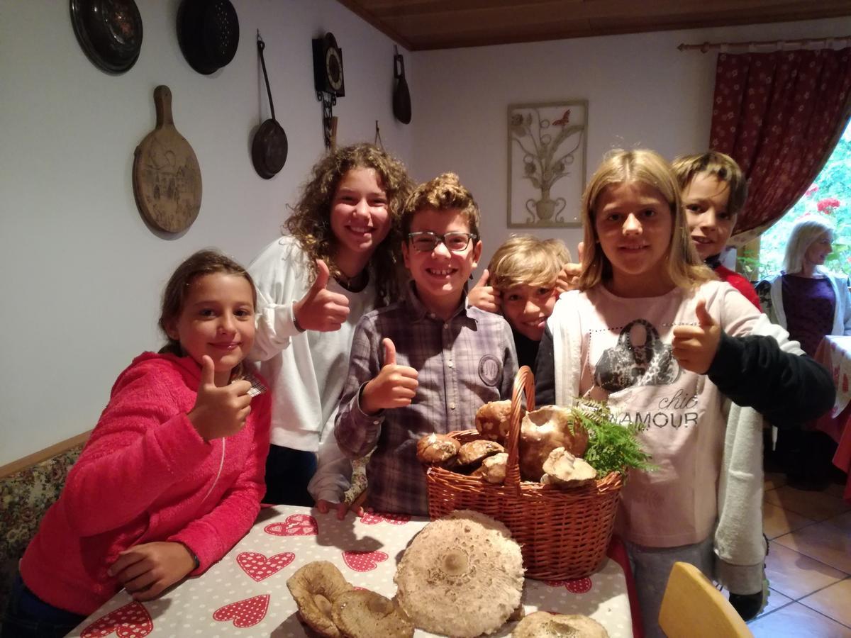 Garni Biancaneve Ruffre-Mendola Oda fotoğraf